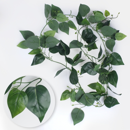 Pothos garland