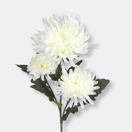 Satin chrysanthemum x 3