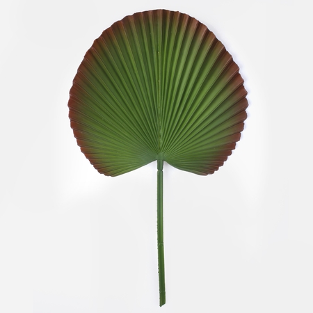 Rubberized palm leaf